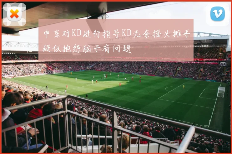 申京对KD进行指导KD无奈摇头摊手疑似抱怨脑子有问题